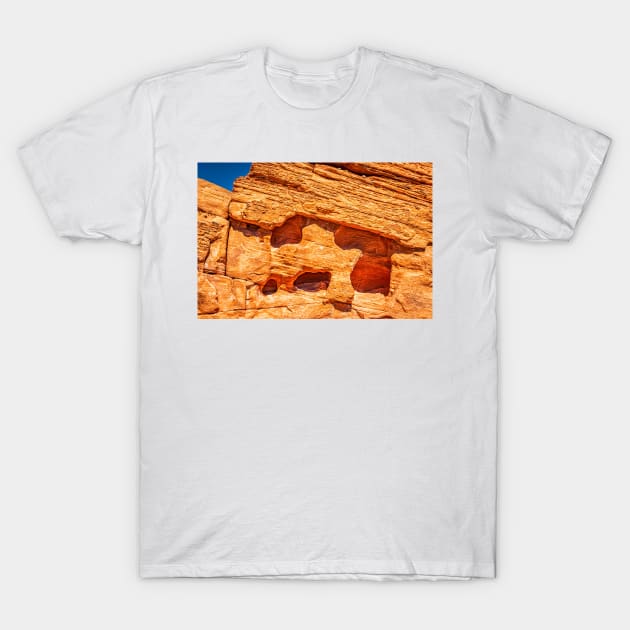 Valley of Fire State Park T-Shirt by Gestalt Imagery